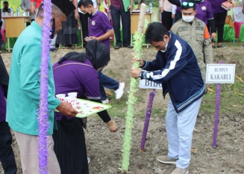 Bupati Gorontalo, Nelson Pomalingo, melakukan penanaman benih jagung di sela kunjungan ke Yayasan Lihawa.(Putra/gopos)