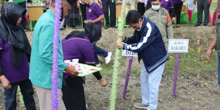 Bupati Gorontalo, Nelson Pomalingo, melakukan penanaman benih jagung di sela kunjungan ke Yayasan Lihawa.(Putra/gopos)