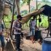 PENGGEREBEKAN - Polsek Tolangohula Amankan Tempat Ilegal Penyulingan Minuman Keras Di Asparaga. (Istimewa)