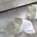 Miras Cap Tikus sebanyak 50 liter diamankan Polres Gorontalo dalam pelaksanaan operasi pekat. (Humas Polda Gorontalo)
