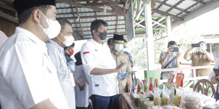 Kepala OJK Wilayah Sulawesi Utara, Gorontalo, dan Maluku Utara Darwisman yang didamping oleh Bupati Bone Bolango Hamim Pou saat meninjau pameran hasil pertanian dan UMKM di RM. Meranti (foto Irul/Kominfo).