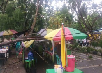 Pohon Depan Diskominfo Kabupaten Gorontalo Ambruk