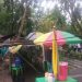 Pohon Depan Diskominfo Kabupaten Gorontalo Ambruk