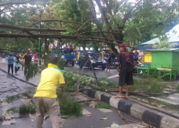 Petugas Dinas Lingkungan Hidup Kabupaten Gorontalo melakukan pembersihan material batang pohon yang tumbang di depan kantor Diskominfo Kabupaten Gorontalo.(putra/gopos)