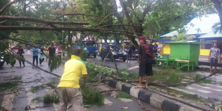 Petugas Dinas Lingkungan Hidup Kabupaten Gorontalo melakukan pembersihan material batang pohon yang tumbang di depan kantor Diskominfo Kabupaten Gorontalo.(putra/gopos)