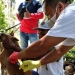 Distannak Bone Bolango melibatkan Dokter Hewan dan para medik melakukan vaksinasi rabies secara gratis kepada puluhan ekor anjing dan kucing, milik warga di Desa Bube dan Desa Tingkohubu, Kecamatan Suwawa, Kamis (25/3/2021). (Foto Istimewa)