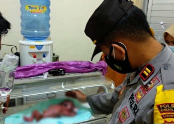 Penemuan bayi