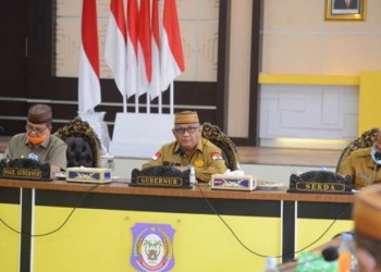 pupuk bersubsidi