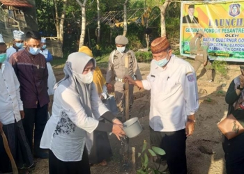 Mandiri pangan