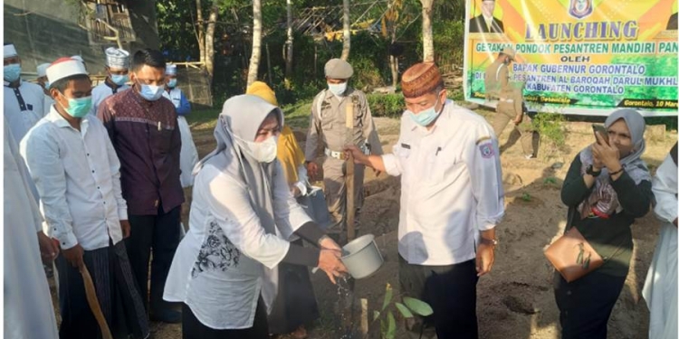 Mandiri pangan