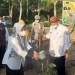 Mandiri pangan