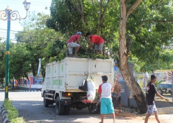Dinas Lingkungan Hidup (DLH) saat Melakukan Pembersihan beberapa Pohon Telah Dipotong (Putra Gopos)