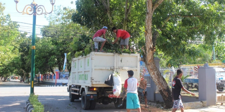 Dinas Lingkungan Hidup (DLH) saat Melakukan Pembersihan beberapa Pohon Telah Dipotong (Putra Gopos)