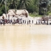 Proses pencarian korban di kubangan bekas tambang yang berbeda di Desa Pepaya, Kecamatan Dengilo, Kabupaten Pohuwato, Rabu (14/4/2021).(istimewa).