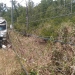 Kondisi truk fuso yang ringsek setelah mengalami kecelakaan menabrak tiang listrik di Desa Popalo, Kecamatan Marisa, Pohuwato