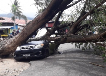 Sebuah mobil Toyota Avanza tertimpa batang pohon tumbang di kompleks Taman Paguat, Kabupaten Pohuwato, Jumat (9/4//2021).