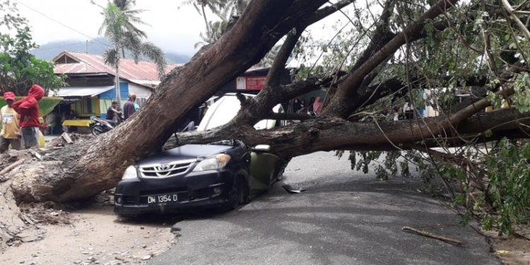 Sebuah mobil Toyota Avanza tertimpa batang pohon tumbang di kompleks Taman Paguat, Kabupaten Pohuwato, Jumat (9/4//2021).