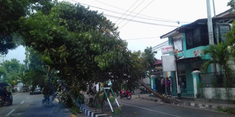 Pohon tumbang di Kelurahan Kayubulan, Kecamatan Limboto