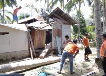 Petugas BPBD Pohuwato membersihkan material batang pohon yang menimpa rumah warga di di Dusun Liyono, Desa Pepaya, Kecamatan Dengilo, Kabupaten Pohuwato
