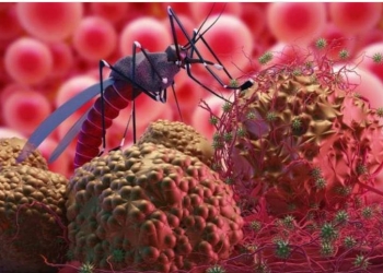 Bebas Malaria