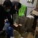 Polsek Tolangohula amankan ratusan liter miras cap tikus