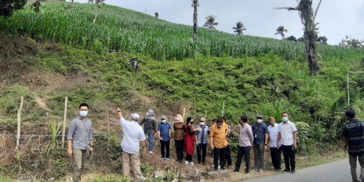 DPRD Sarankan terasering untuk lahan ekstrim