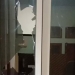 Kaca salah satu pintu ruangan di dalam gedung DPRD Pohuwato pecah akibat setelah menjadi sasaran kemarahan oknum staf ahli DPRD Pohuwato. (Azhar/gopos)