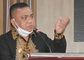 Wakil Bupati Gorontalo, Hendra S Hemeto. (istimewa)