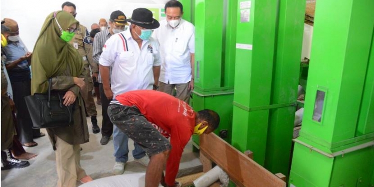beras premium