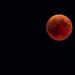 Blood Moon