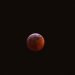 Super Blood Moon