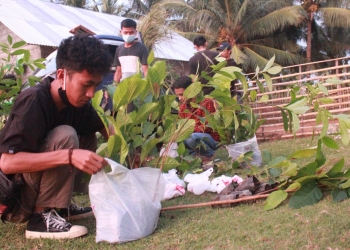 Mahasiswa KKN UNG bersama anggota GMPA Mutiara melakukan penanaman pohon pada Minggu, (23/05/21). (Foto; Arinda/Gopos)