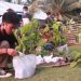 Mahasiswa KKN UNG bersama anggota GMPA Mutiara melakukan penanaman pohon pada Minggu, (23/05/21). (Foto; Arinda/Gopos)