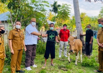 BANTUAN SAPI - Wakil Ketua DPRD Provinsi Gorontalo, Kris Wartabone saat menyerahkan bantuan bibit sapi kepada masyarakat. Foto istimewa.