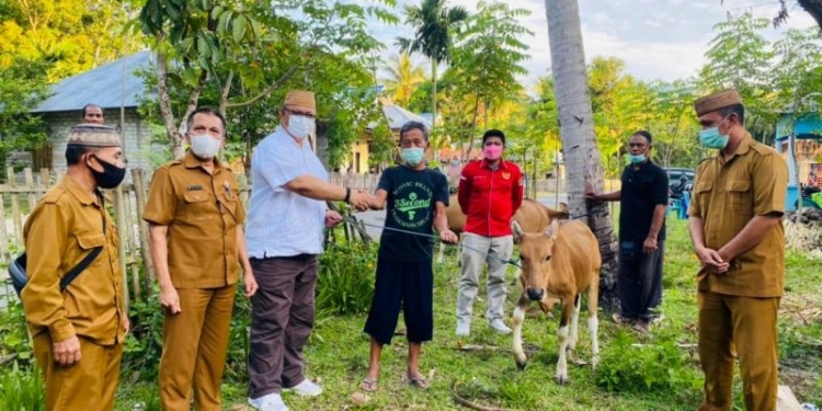 BANTUAN SAPI - Wakil Ketua DPRD Provinsi Gorontalo, Kris Wartabone saat menyerahkan bantuan bibit sapi kepada masyarakat. Foto istimewa.