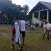 PACUAN KUDA - Warga mulai meninggalkan lokasi kegiatan pacuan kuda setelah duberikan himbauan oleh Polsek Limboto Barat. Foto Istimewa