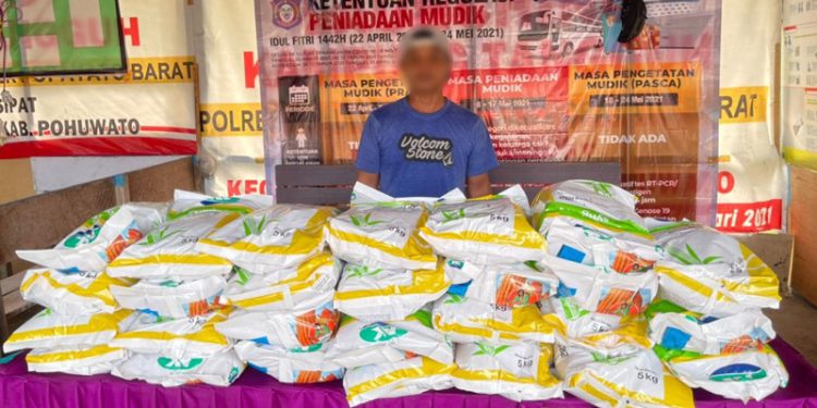 Benih jagung jenis NK 212 yang diamankan Polsek Popayato Barat saat akan dibawa menuju ke Sulawesi Tengah. (istimewa)