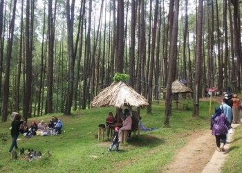 HARI LIBUR NASIONAL - Sejumlah wisatawan saat berada di Lokasi Wisata Hutan Pinus Mootilango, Selasa (1/6/2021).