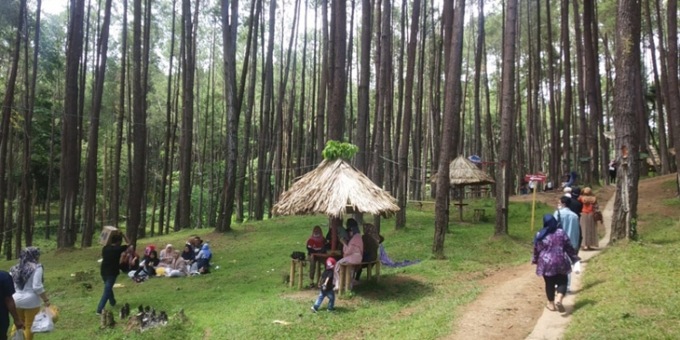 HARI LIBUR NASIONAL - Sejumlah wisatawan saat berada di Lokasi Wisata Hutan Pinus Mootilango, Selasa (1/6/2021).