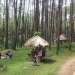 HARI LIBUR NASIONAL - Sejumlah wisatawan saat berada di Lokasi Wisata Hutan Pinus Mootilango, Selasa (1/6/2021).