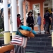 Siswa MAN IC Gorontalo positif covid