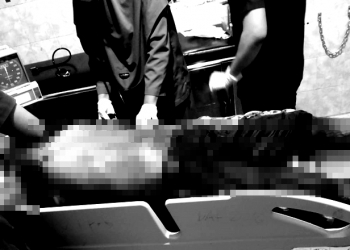 Penikaman di Limboto