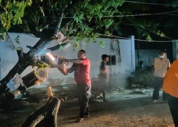 Petugas BPBD Kota Gorontalo memotong batang pohon yang tumbang di Jl Palma, Kecamatan Dungingi, Kota Gorontalo, Ahad (13/6/2021). (Ari/gopos)
