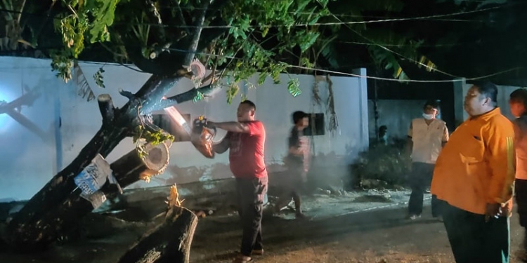 Petugas BPBD Kota Gorontalo memotong batang pohon yang tumbang di Jl Palma, Kecamatan Dungingi, Kota Gorontalo, Ahad (13/6/2021). (Ari/gopos)