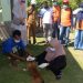 Proses Vaksinasi Rabies Terhadap Anjing di Desa Biluango Kecamatan Kabila Bone. (Foto AKP/Kominfo)