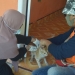 Vaksinasi Kucing di Desa Biluango Kecamatan Kabila Bone. (Foto AKP/Kominfo)