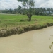 Aktivitas tambang