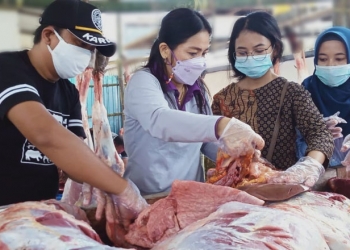 Wakil Ketua PDHI Cabang Gorontalo sekaligus dokter hewan Medik Veteriner Madya Provinsi Gorontalo, Fenny Rimporok beserta jajaran saat melakukan pengecekan hewan kurban di Masjid Agung Baiturrahman Limboto, Selasa (20/7/2021). (Foto: Putra/gopos)