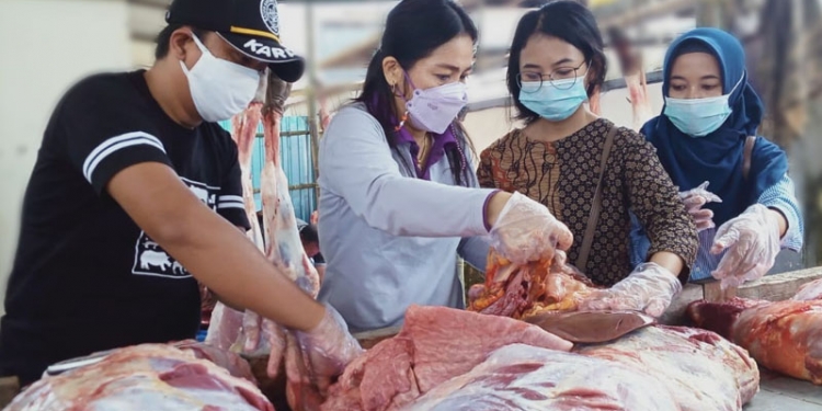 Wakil Ketua PDHI Cabang Gorontalo sekaligus dokter hewan Medik Veteriner Madya Provinsi Gorontalo, Fenny Rimporok beserta jajaran saat melakukan pengecekan hewan kurban di Masjid Agung Baiturrahman Limboto, Selasa (20/7/2021). (Foto: Putra/gopos)