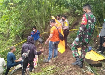 Penemuan mayat di Perkebunan Sawit Bilato